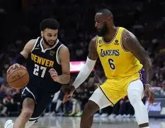 开云网页版-理查德森nba